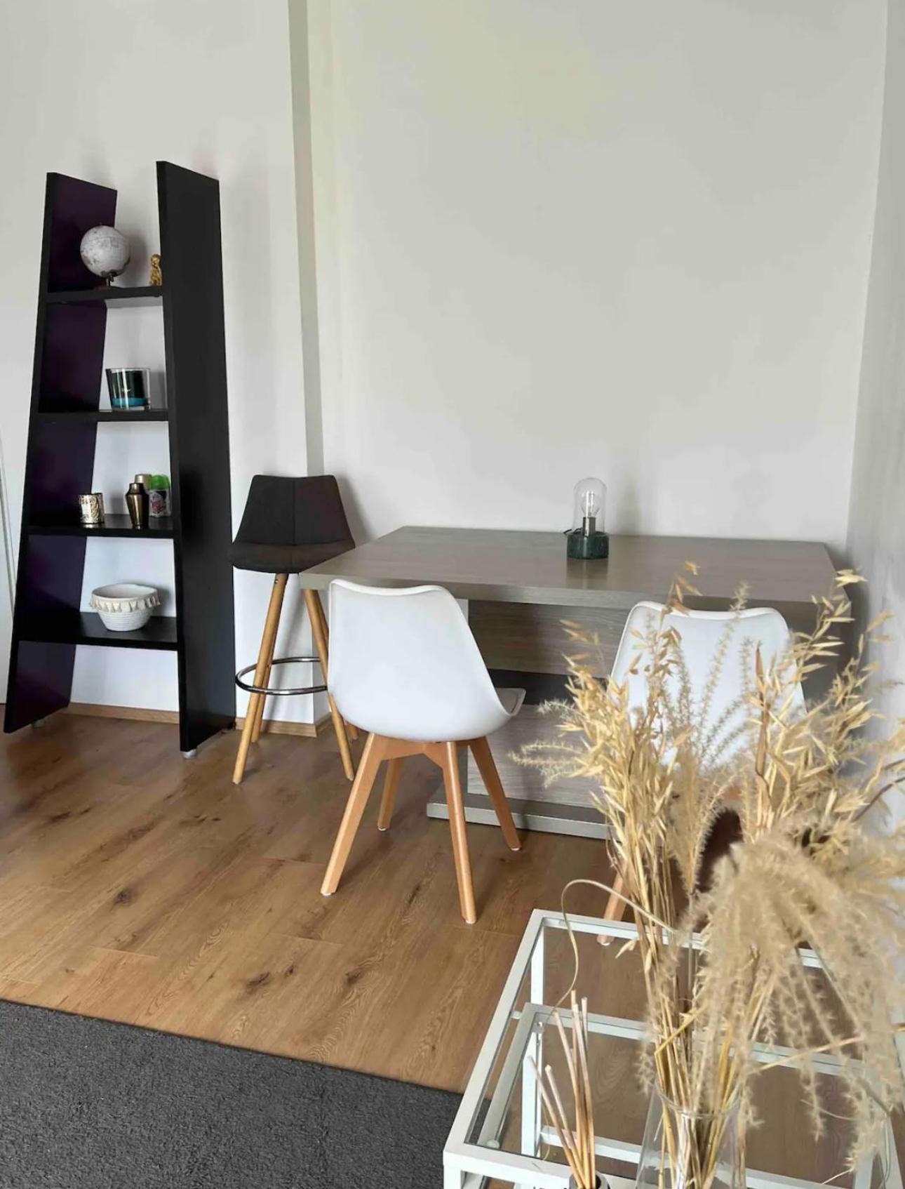 Apartament Stylish In Entire Viena